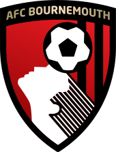 AFC Bournemouth Bubble Football